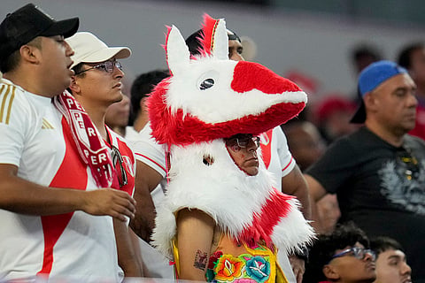 Peru fans during match against Chile